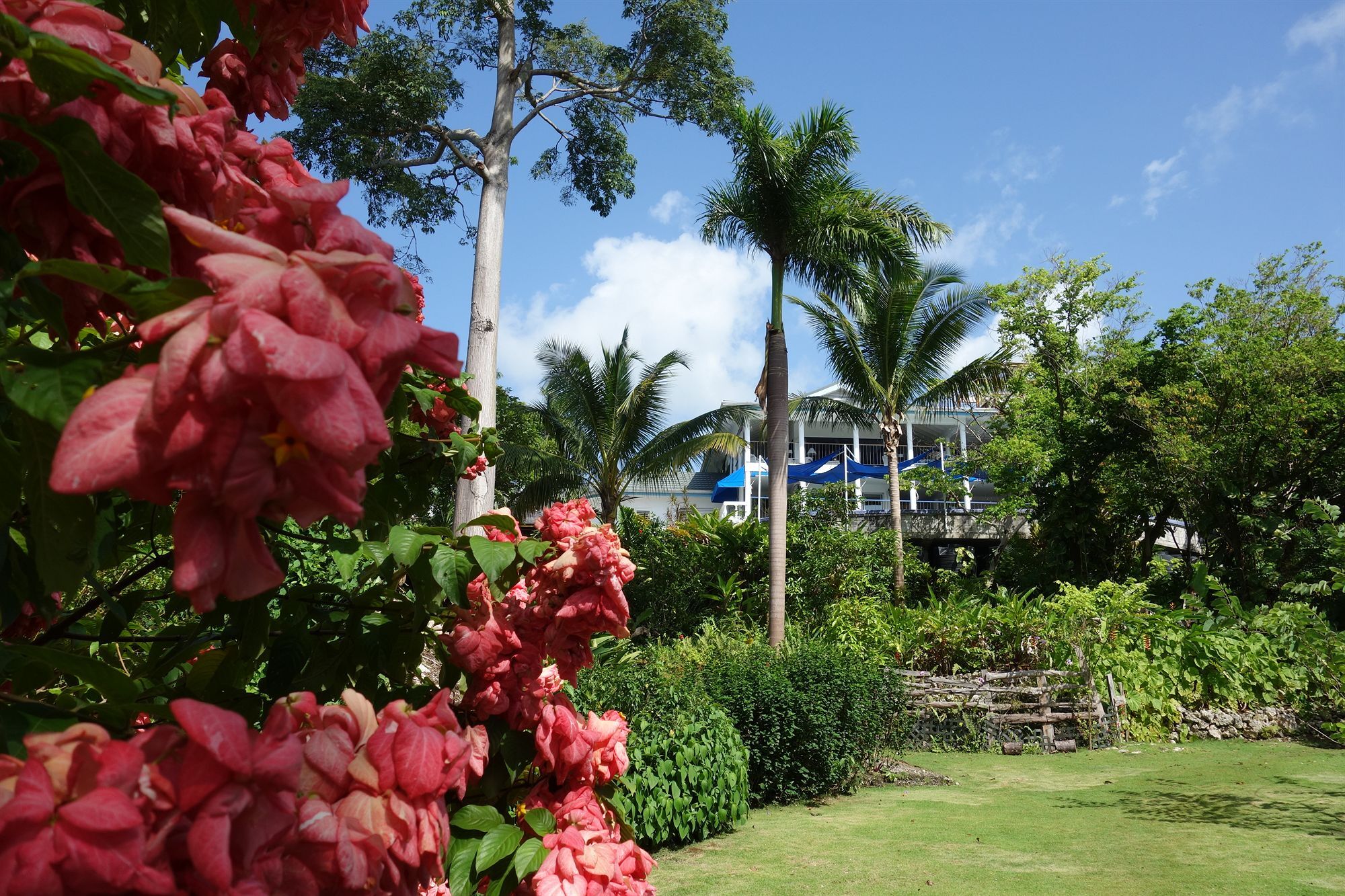 Hotel Mocking Bird Hill Port Antonio Exteriör bild