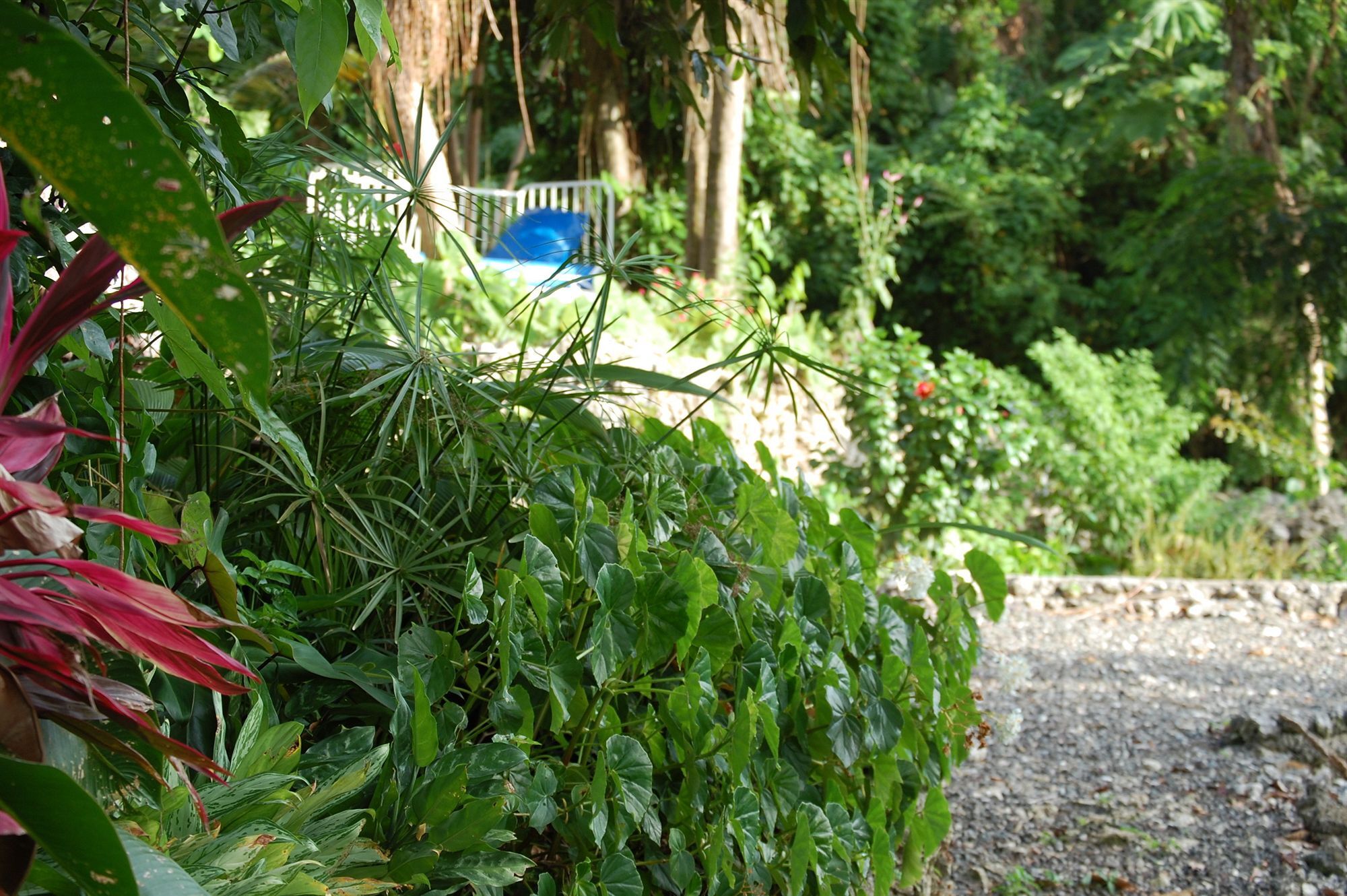 Hotel Mocking Bird Hill Port Antonio Exteriör bild