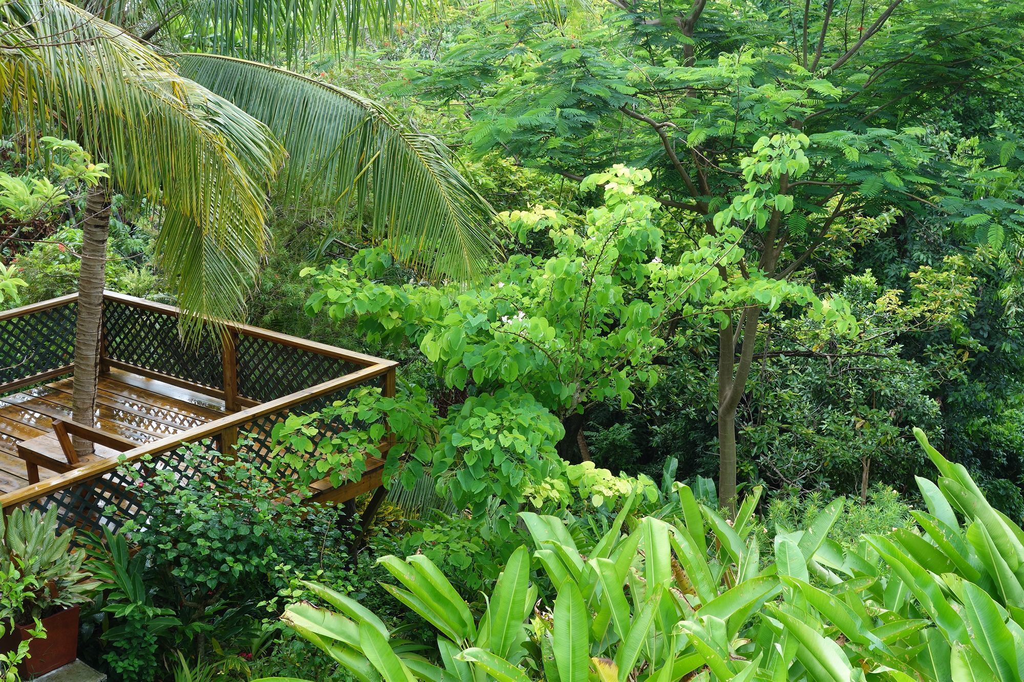 Hotel Mocking Bird Hill Port Antonio Exteriör bild